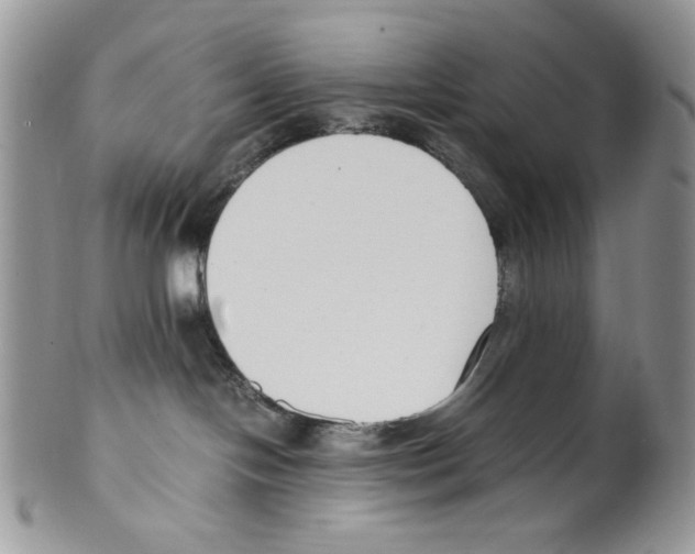 X0000099550094200806131222