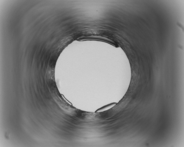 X0000099550096200806131222