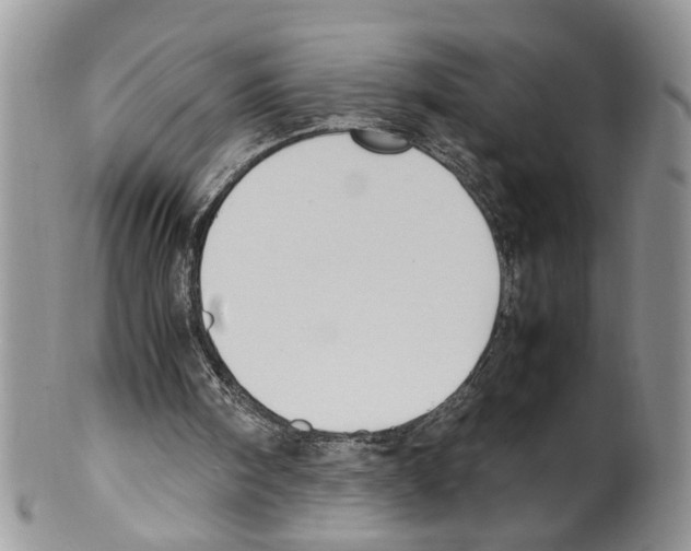 X0000099550098200806131221