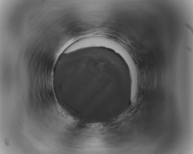 X0000099550100200806131221