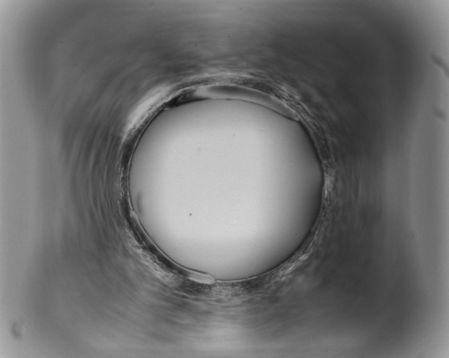 X0000099550101200806131221