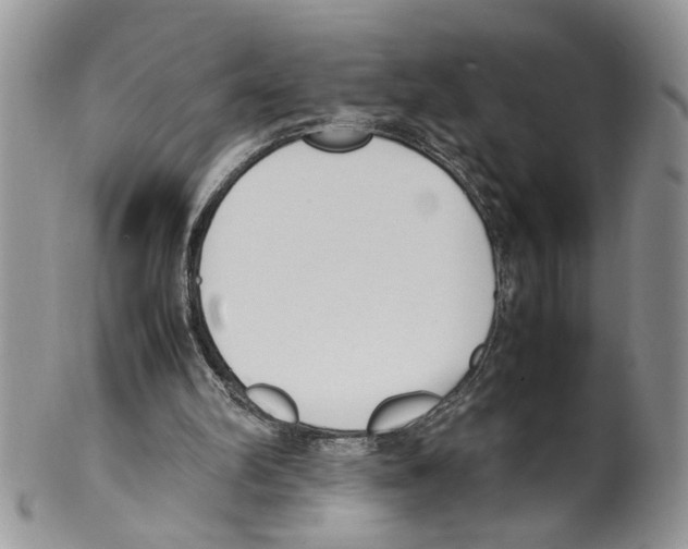 X0000099550102200806131221