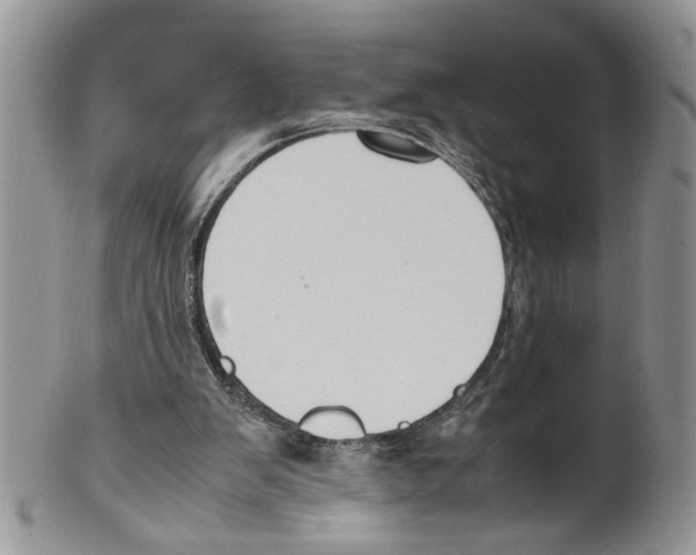 X0000099550103200806131221