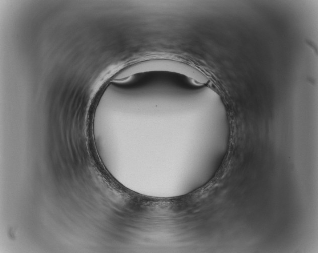 X0000099550104200806131221