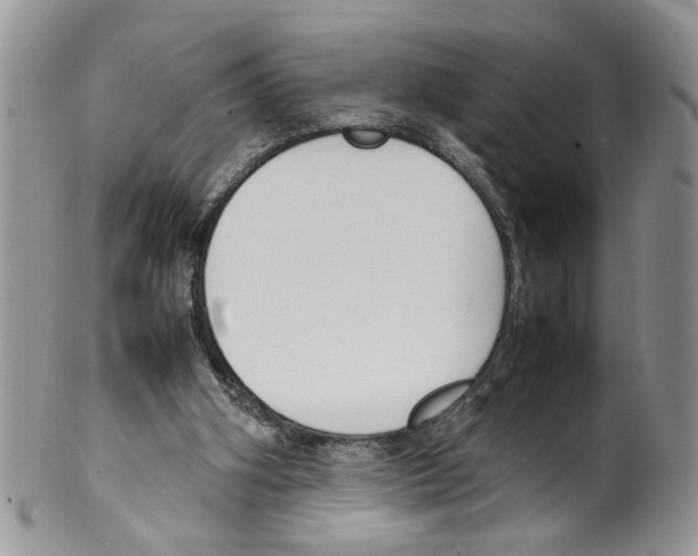 X0000099550106200806131221