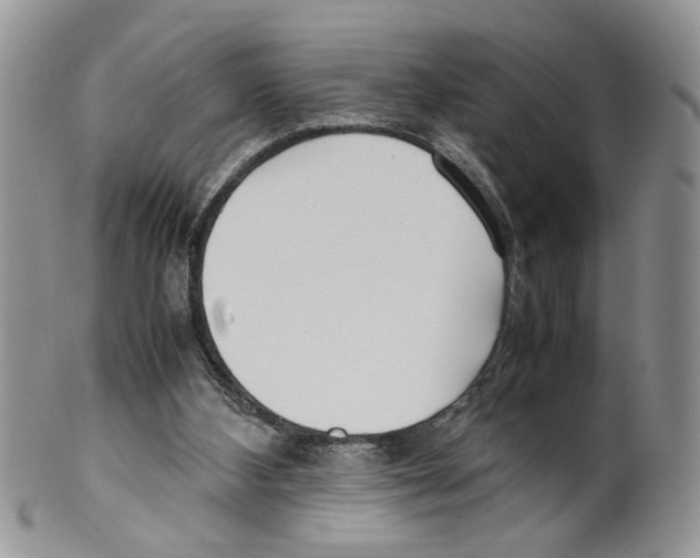 X0000099550108200806131221