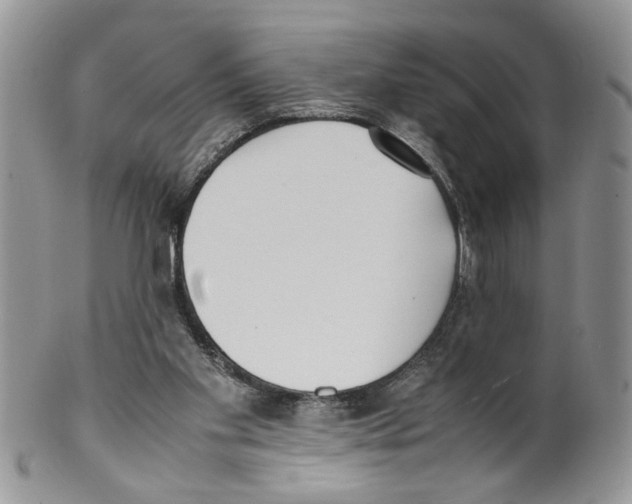 X0000099550109200806131221