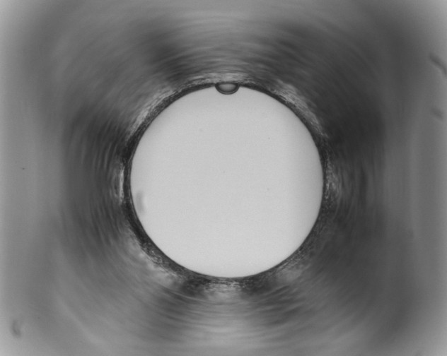 X0000099550110200806131221