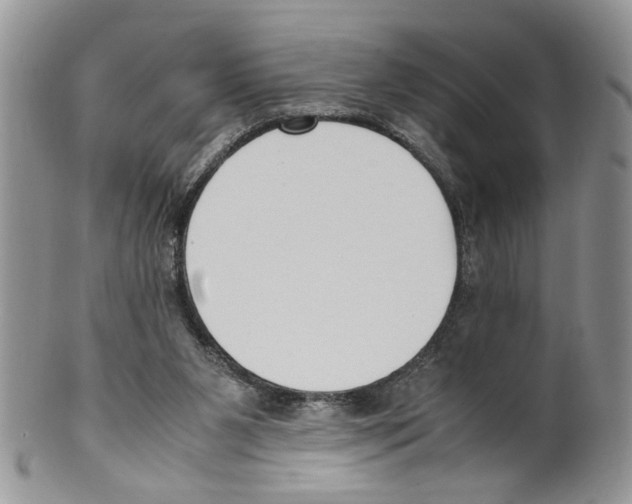 X0000099550111200806131221