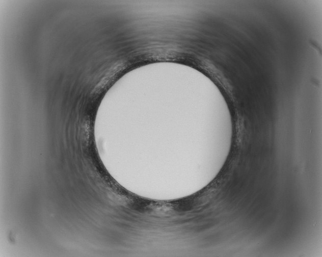 X0000099550113200806131220