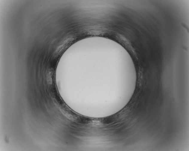 X0000099550114200806131220