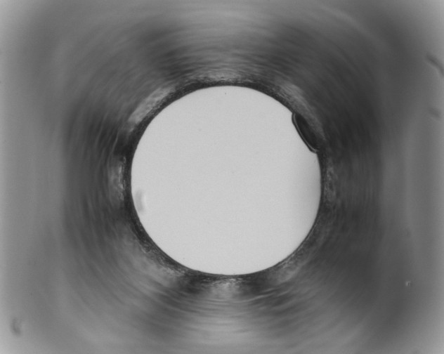 X0000099550116200806131220