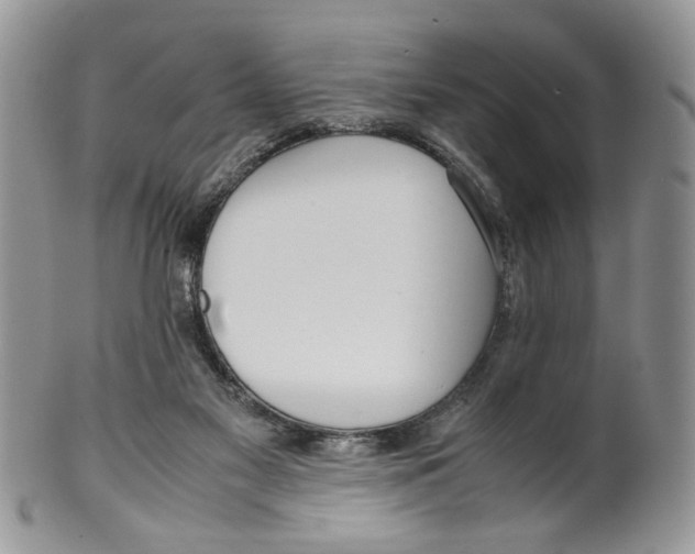 X0000099550117200806131220