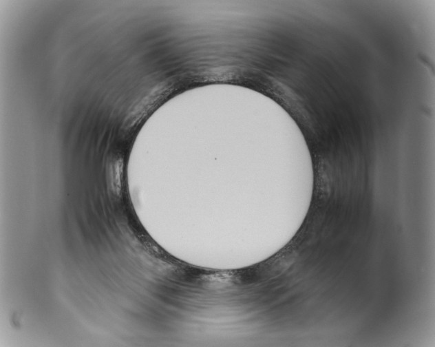 X0000099550118200806131220