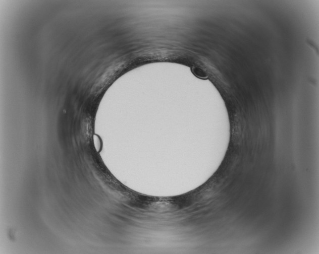 X0000099550119200806131220