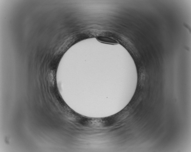 X0000099550121200806131220