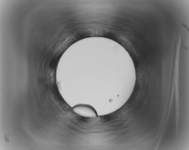 X0000099550123200806131220