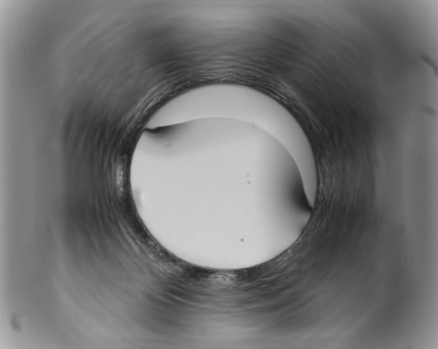 X0000099550124200806131220