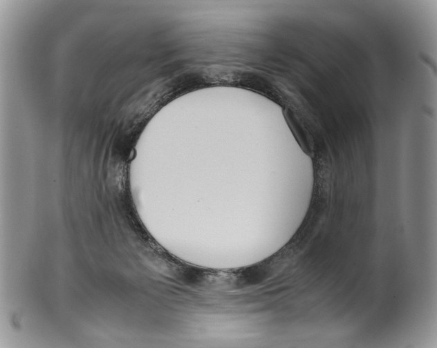 X0000099550125200806131220