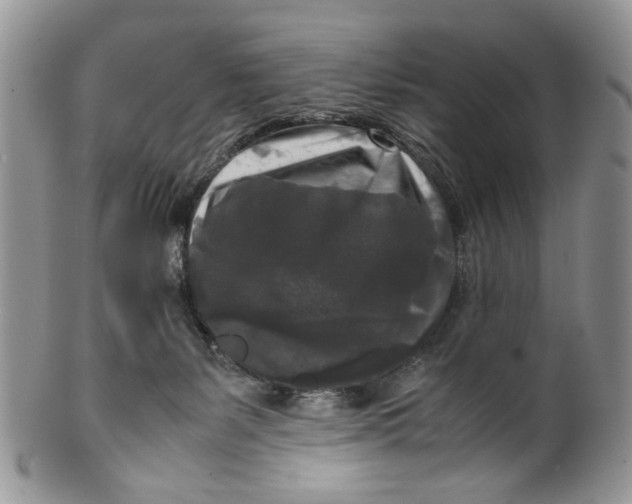 X0000099550127200806131220