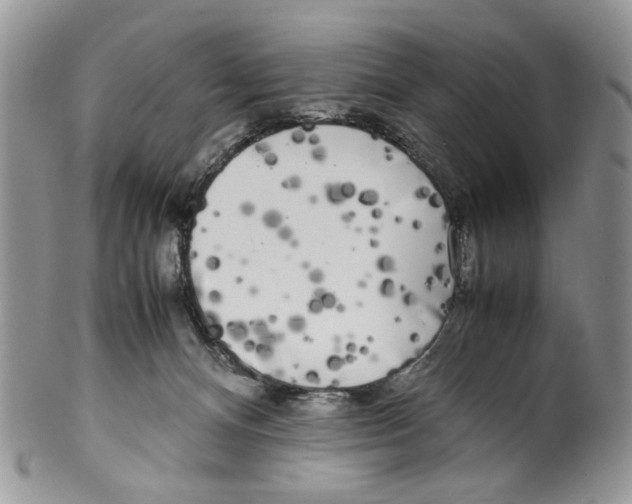 X0000099550128200806131220