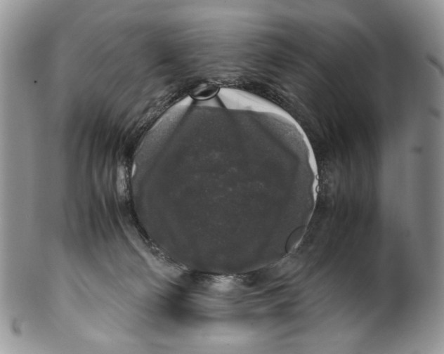 X0000099550130200806131220