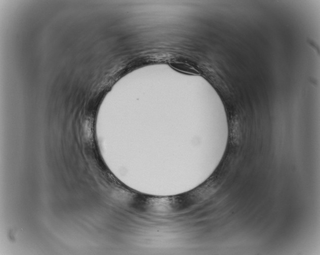 X0000099550131200806131220