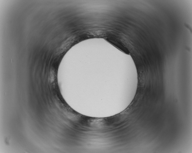 X0000099550132200806131220