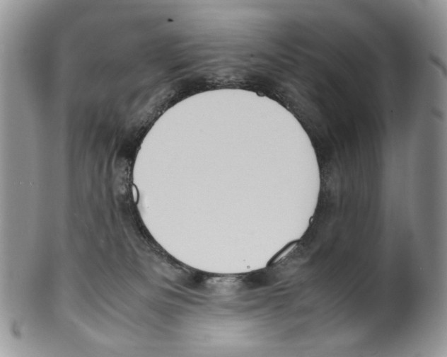 X0000099550133200806131220