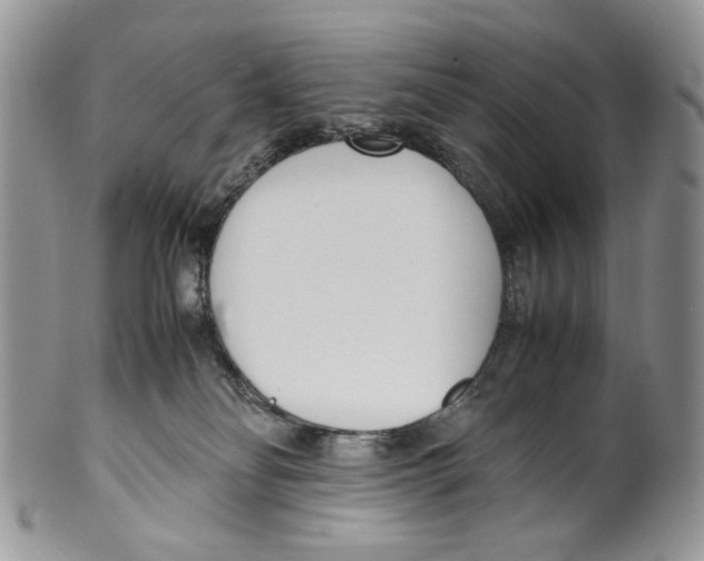 X0000099550134200806131220