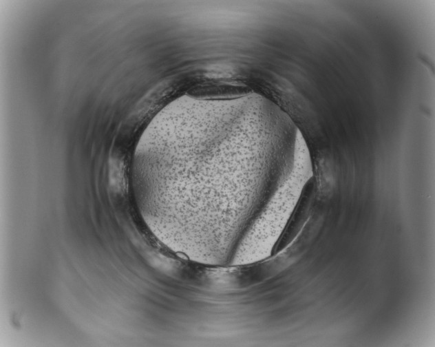 X0000099550136200806131220