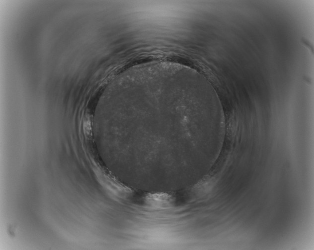 X0000099550137200806131220