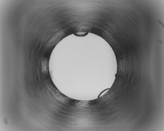 X0000099550138200806131220