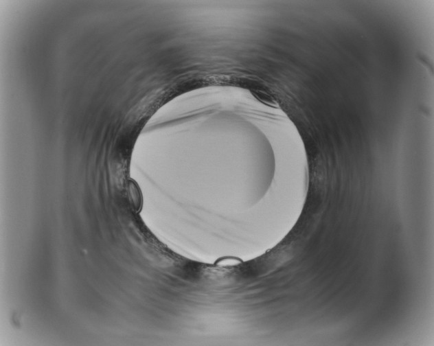 X0000099550139200806131220