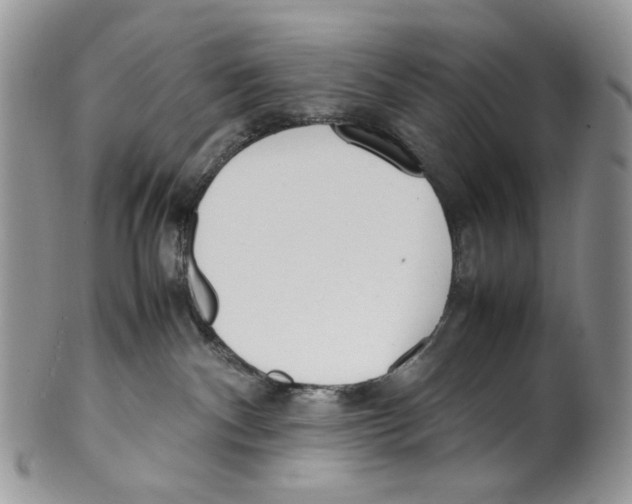 X0000099550140200806131220