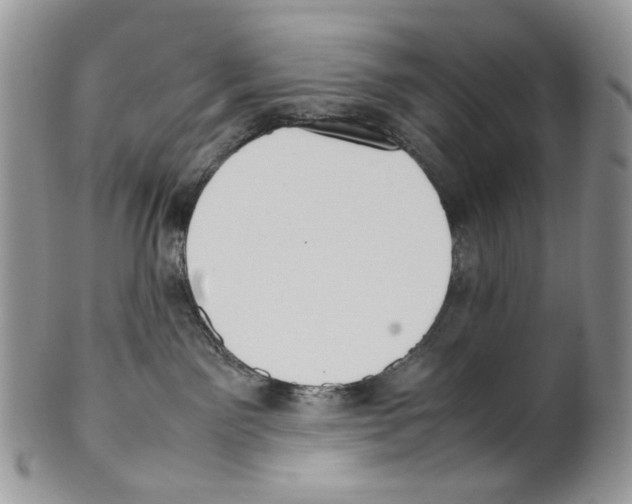 X0000099550141200806131220