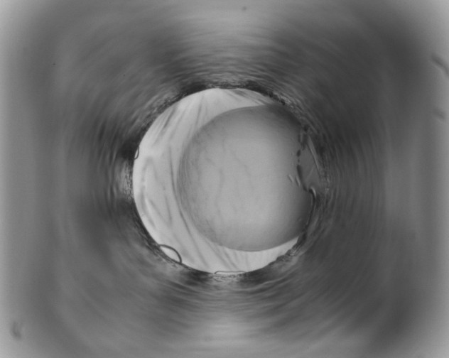 X0000099550143200806131220