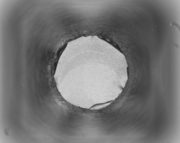 X0000099550144200806131220