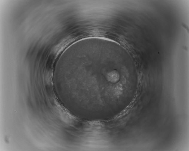 X0000099550146200806131219