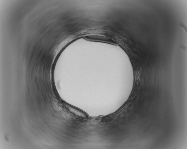 X0000099550148200806131219