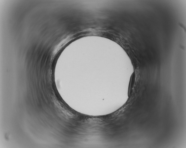 X0000099550150200806131219