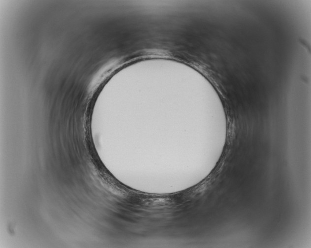 X0000099550151200806131219