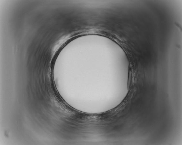 X0000099550152200806131219