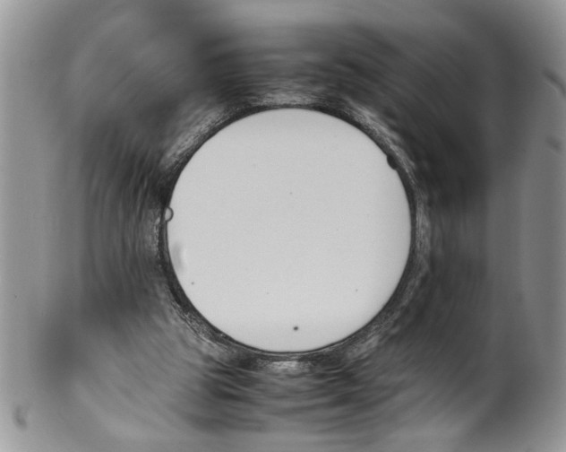 X0000099550153200806131219