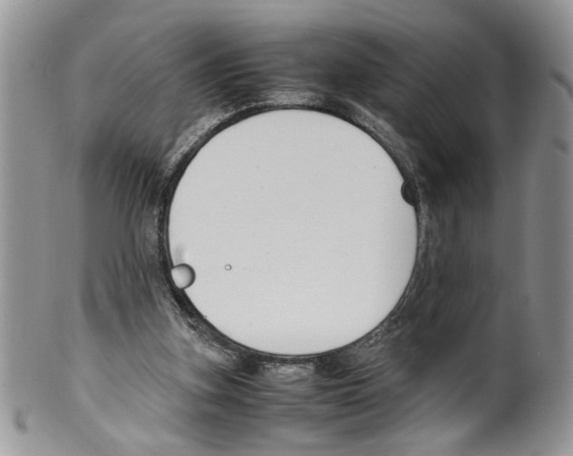 X0000099550155200806131220