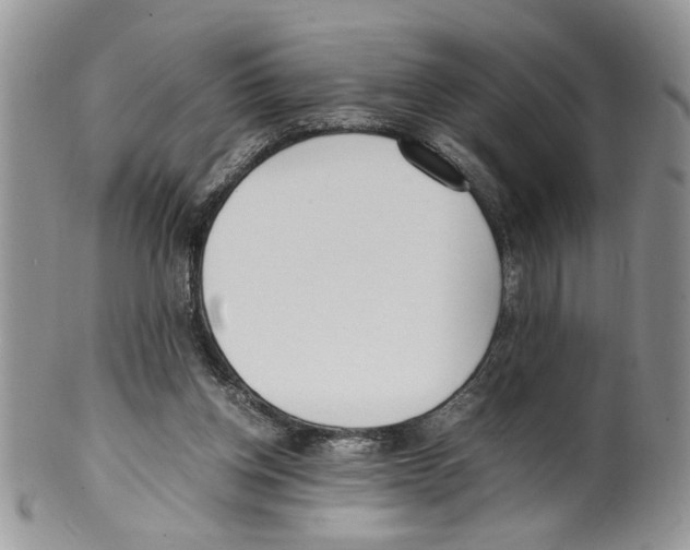 X0000099550158200806131220