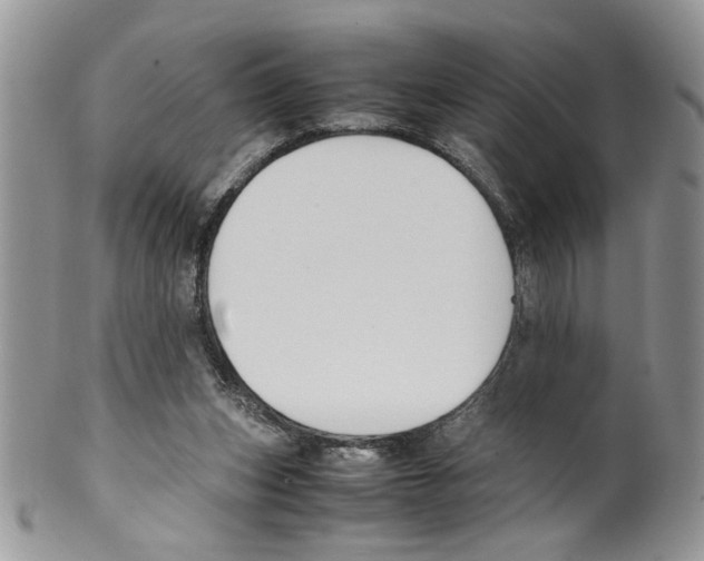 X0000099550159200806131220