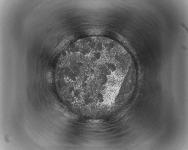 X0000099550161200806131220