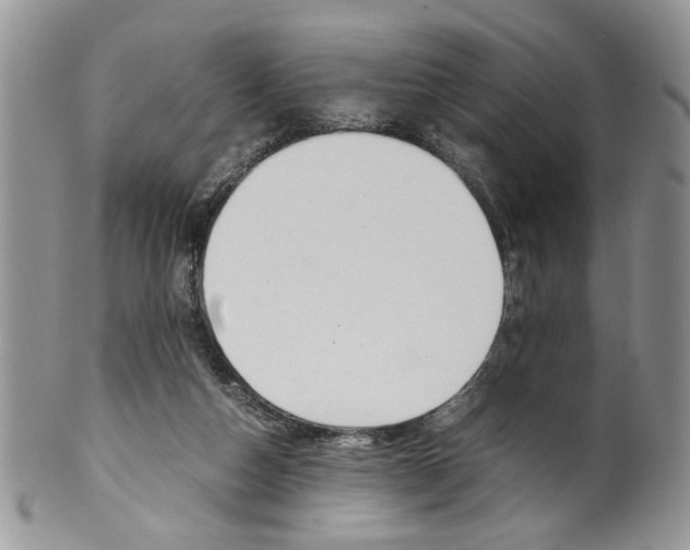 X0000099550162200806131220