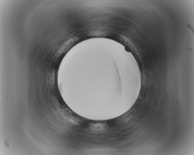 X0000099550163200806131220